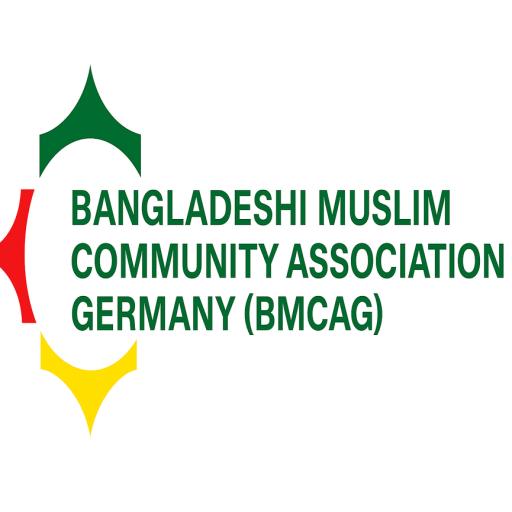 BMCAG Report Icon
